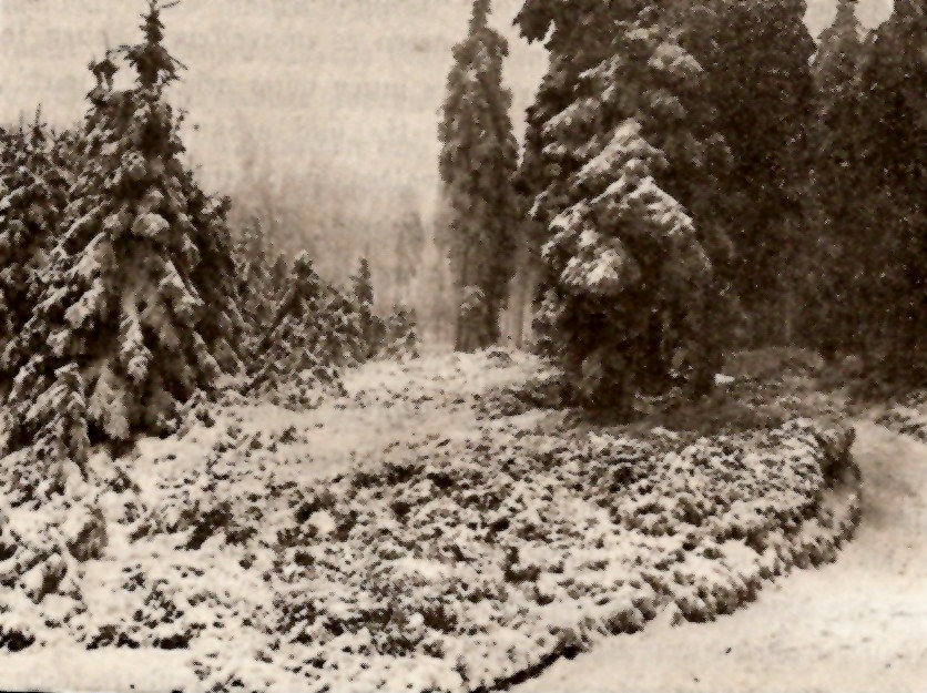erzgebirge03.jpg (187778 Byte)