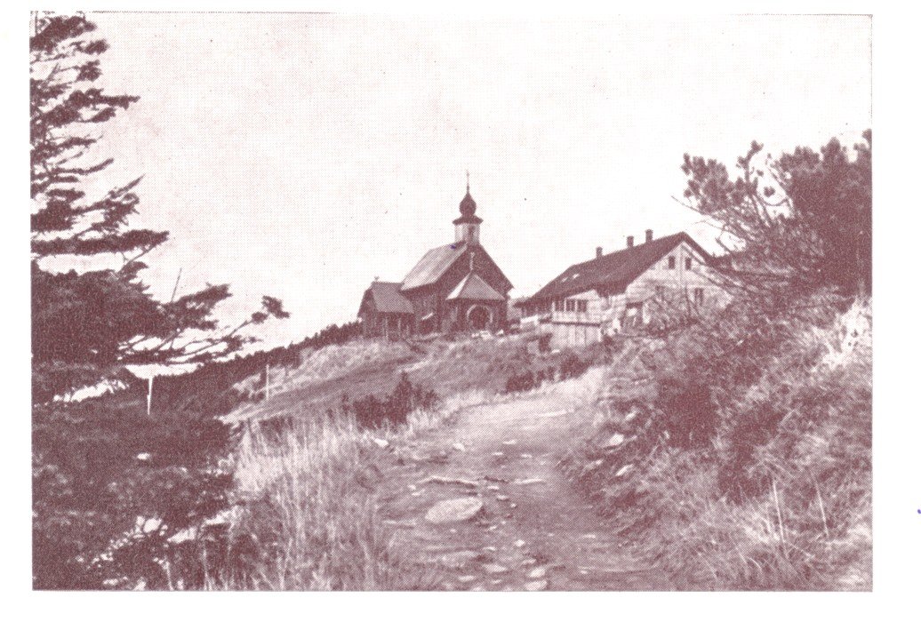 heidebruennl01.jpg (188562 Byte)